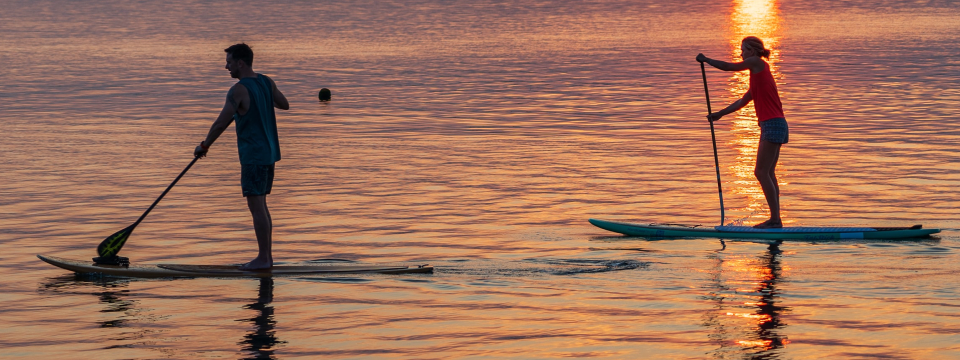 Sunset Paddle | The Paddle Company - Discover Paddle Boarding ...